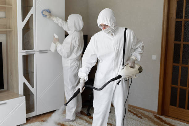 24/7 Emergency Odor Removal experts in Volga, SD