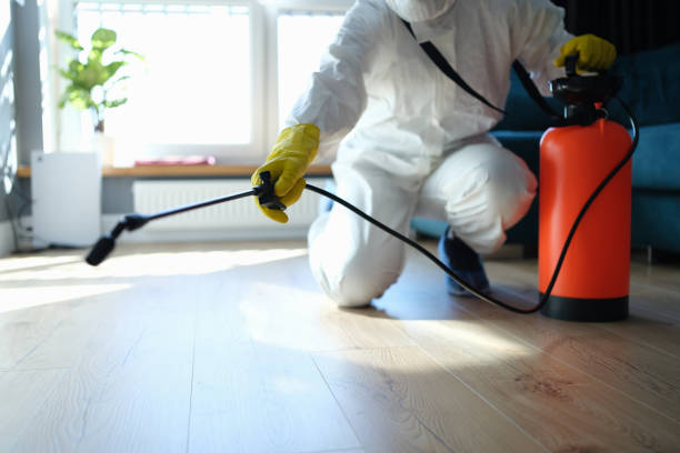 Reliable Odor Removal contractor in Volga, SD by Crime Scene Cleaner Online